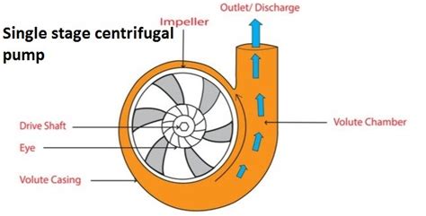 difference between centrifugal and reciprocating pump|reciprocating pump calculation.